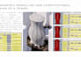 do parametric modelling in rhino and grasshopper